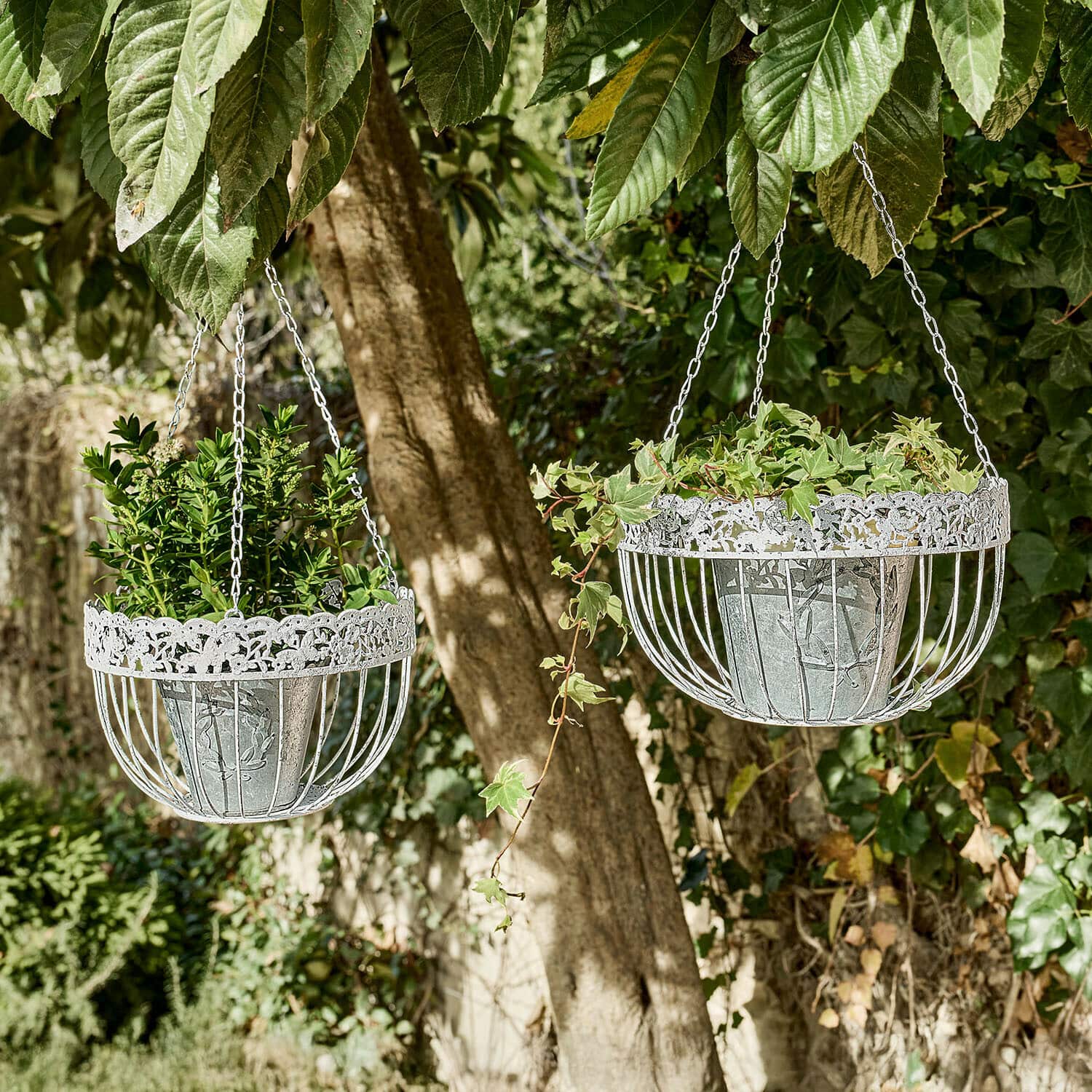 Cestino pensile s/2 Iveralia Due ceste sospese in metallo bianco con piante verdi appese a un albero in giardino