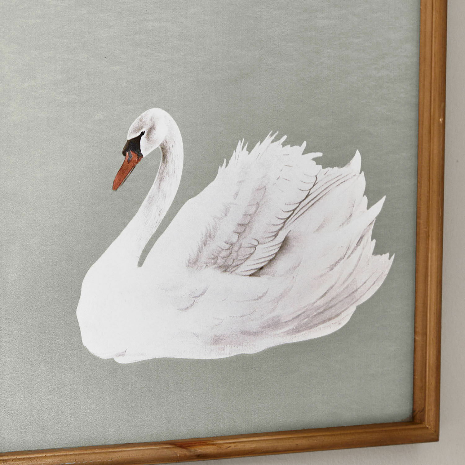 Quadro Cariella