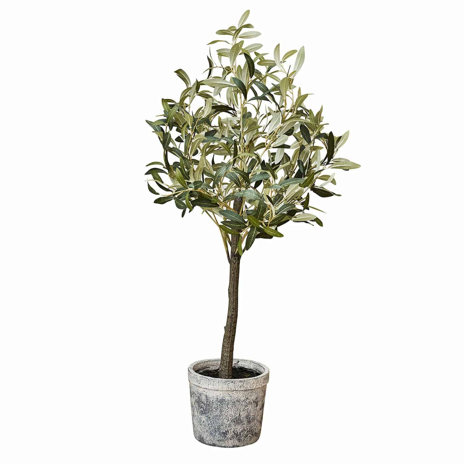 Pianta in vaso decorativa Mariuccia Albero di ulivo artificiale in vaso grigio di plastica, decorazione per interni ed esterni