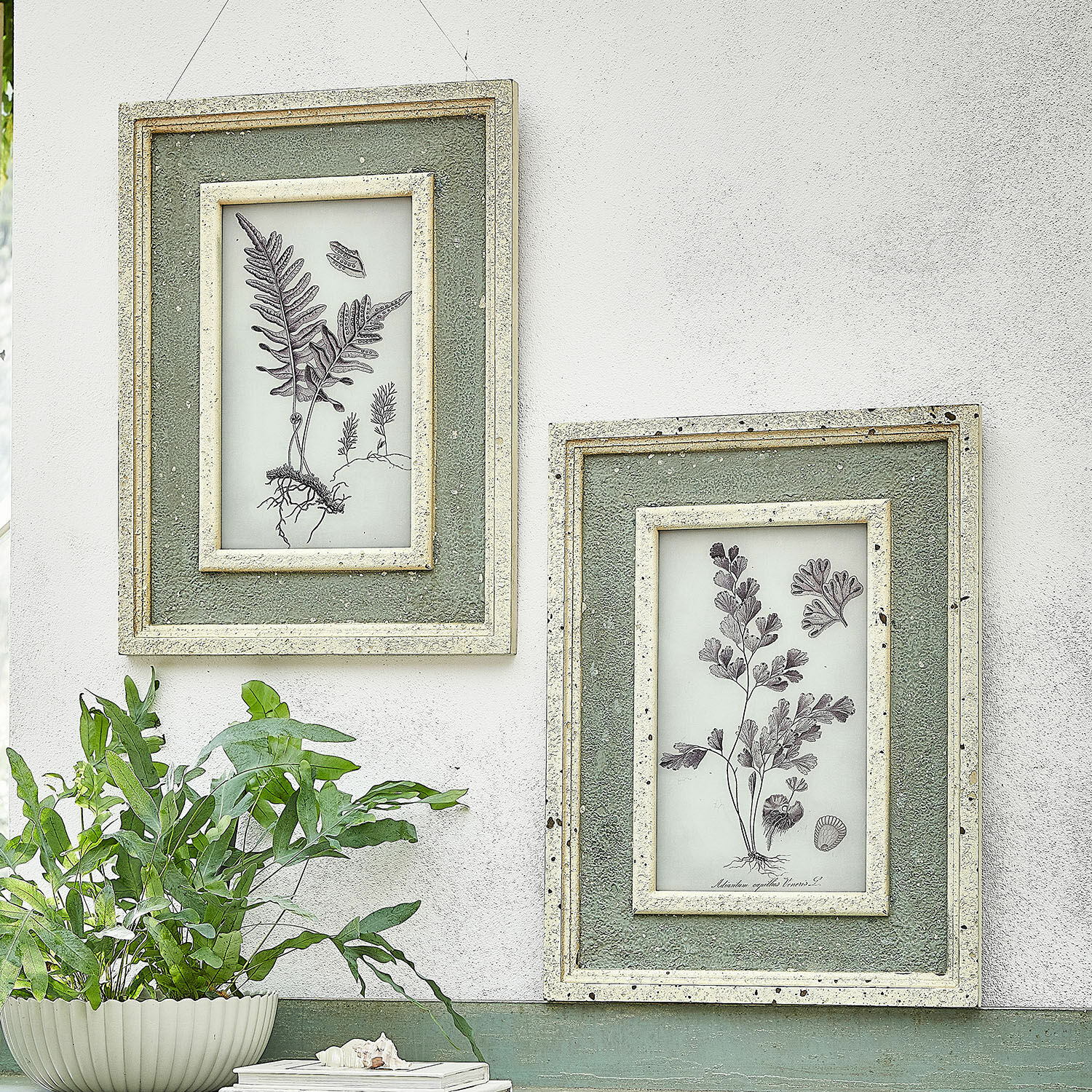 Coppia di quadri Cerilav Due cornici verdi da parete con illustrazioni botaniche e texture su muro bianco in stile vintage