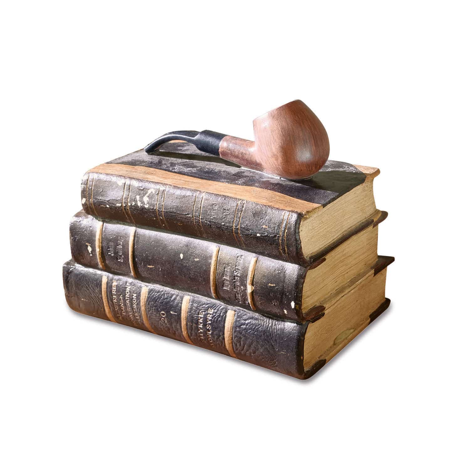 Libro decorativo Rakeem
