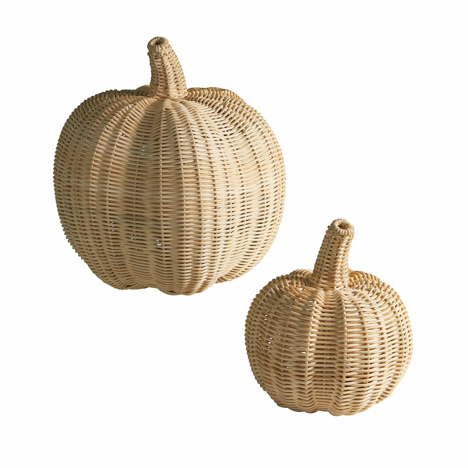 Coppia di zucche Madlen