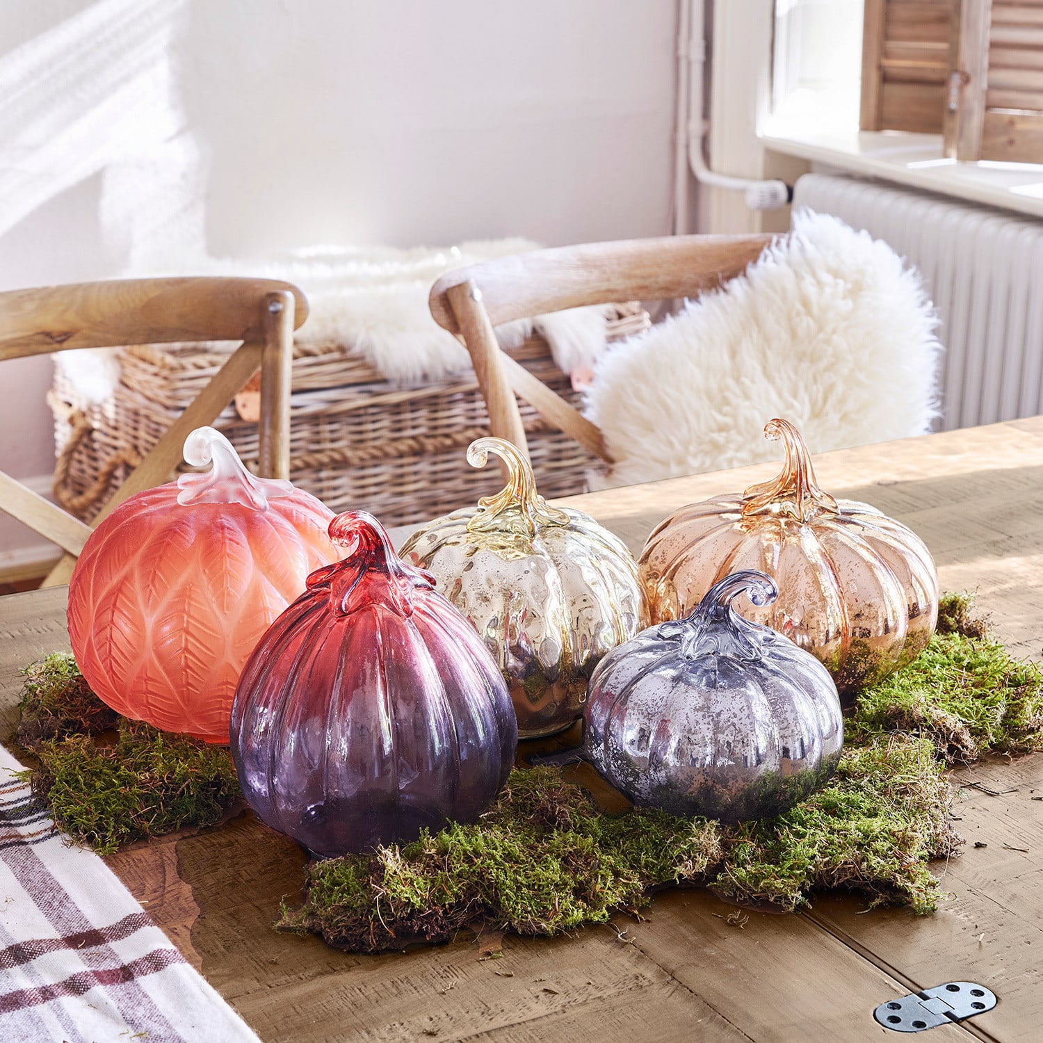 Set di 5 zucche Lorenz