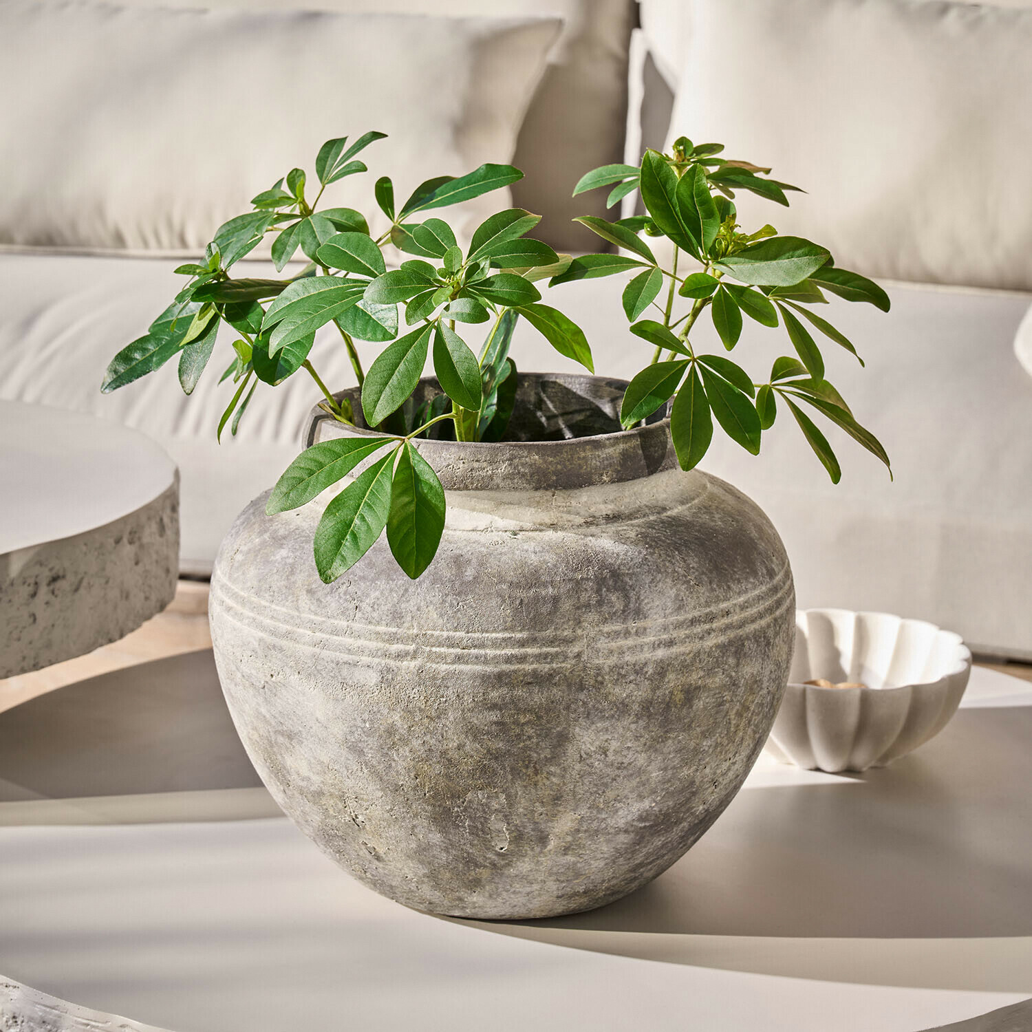 Vaso Haldoríe Vaso rotondo in pietra grigia con foglie verdi su tavolo chiaro in interno moderno