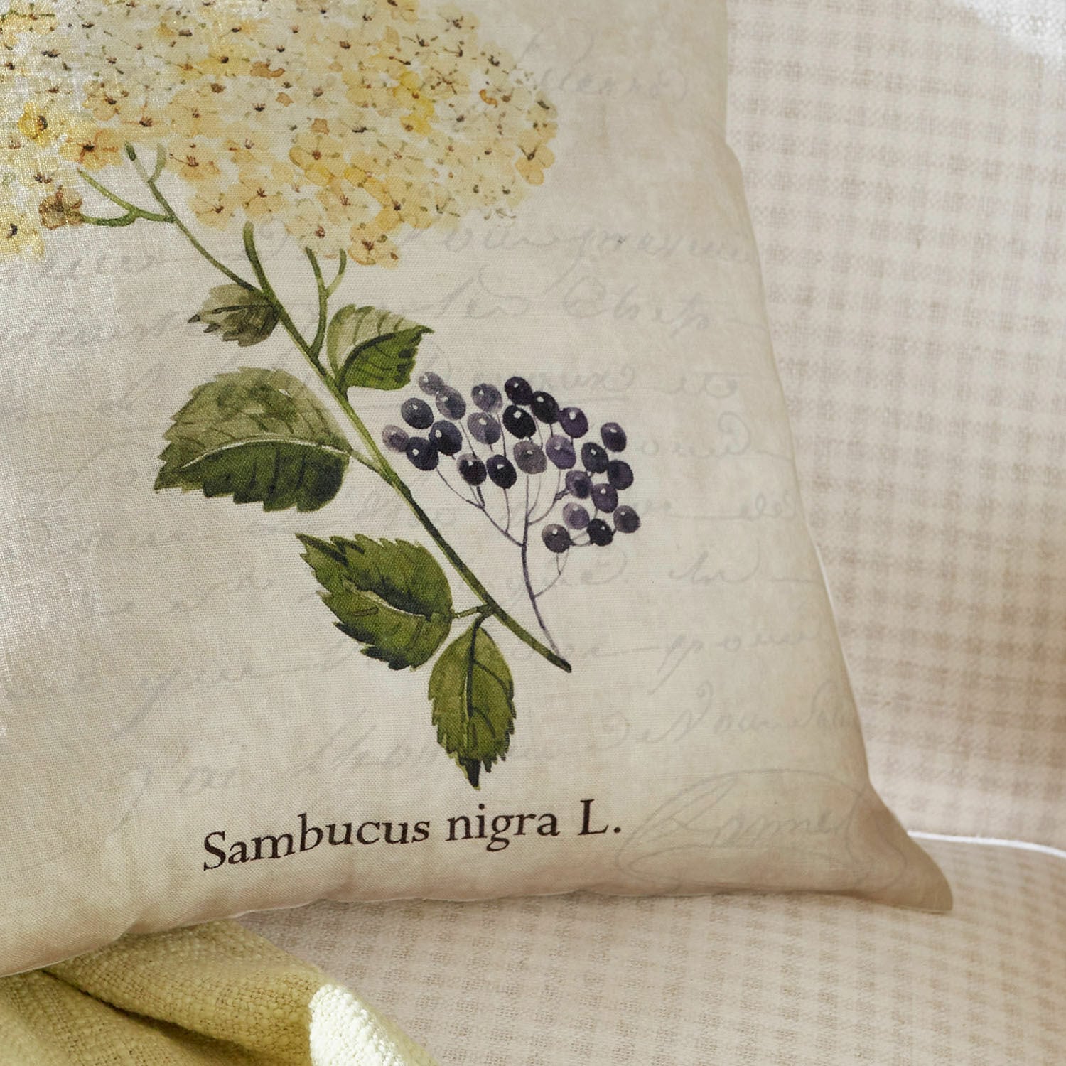 Copricuscino Sambucus