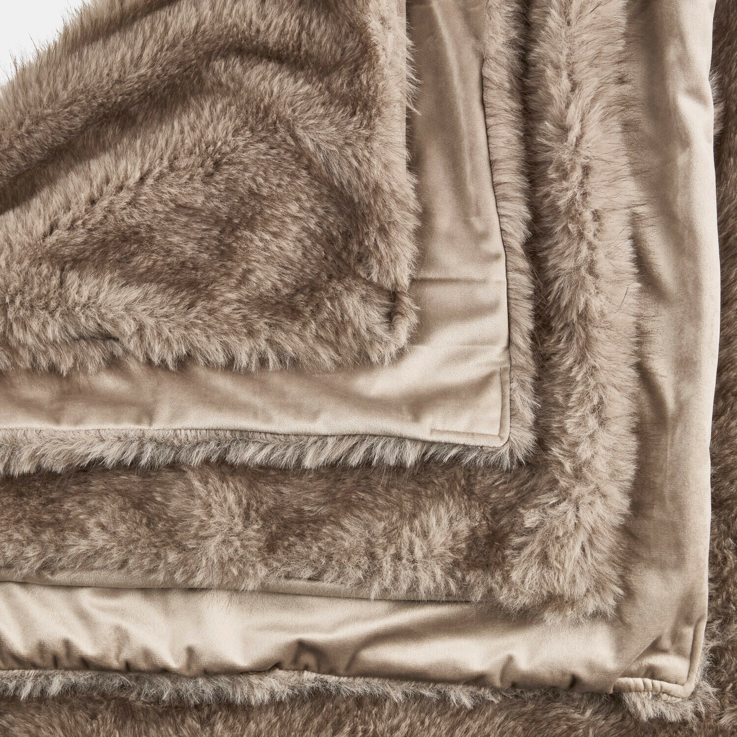 Coperta Talverno