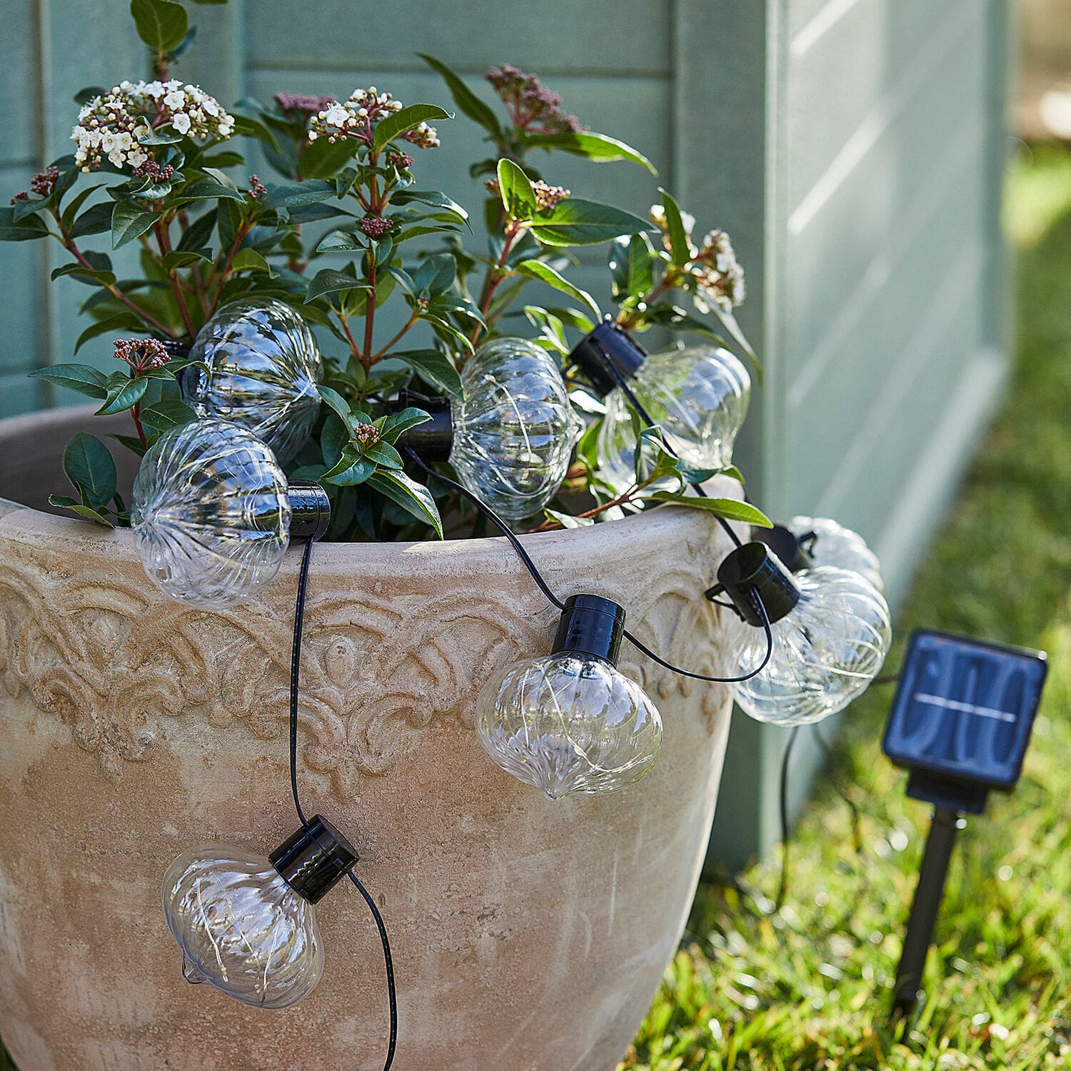 Catena luminosa solare Lunda Sul Catena luminosa solare in vetro trasparente a forma di cipolla con cavo nero, decorazione da giardino
