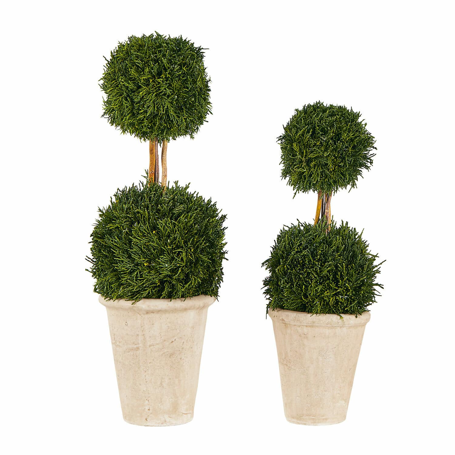 Coppia di alberelli decorativi Barda