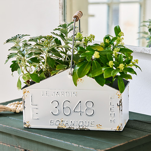 Contenitore in metallo bianco con manico e piante, decorazione per casa e giardino