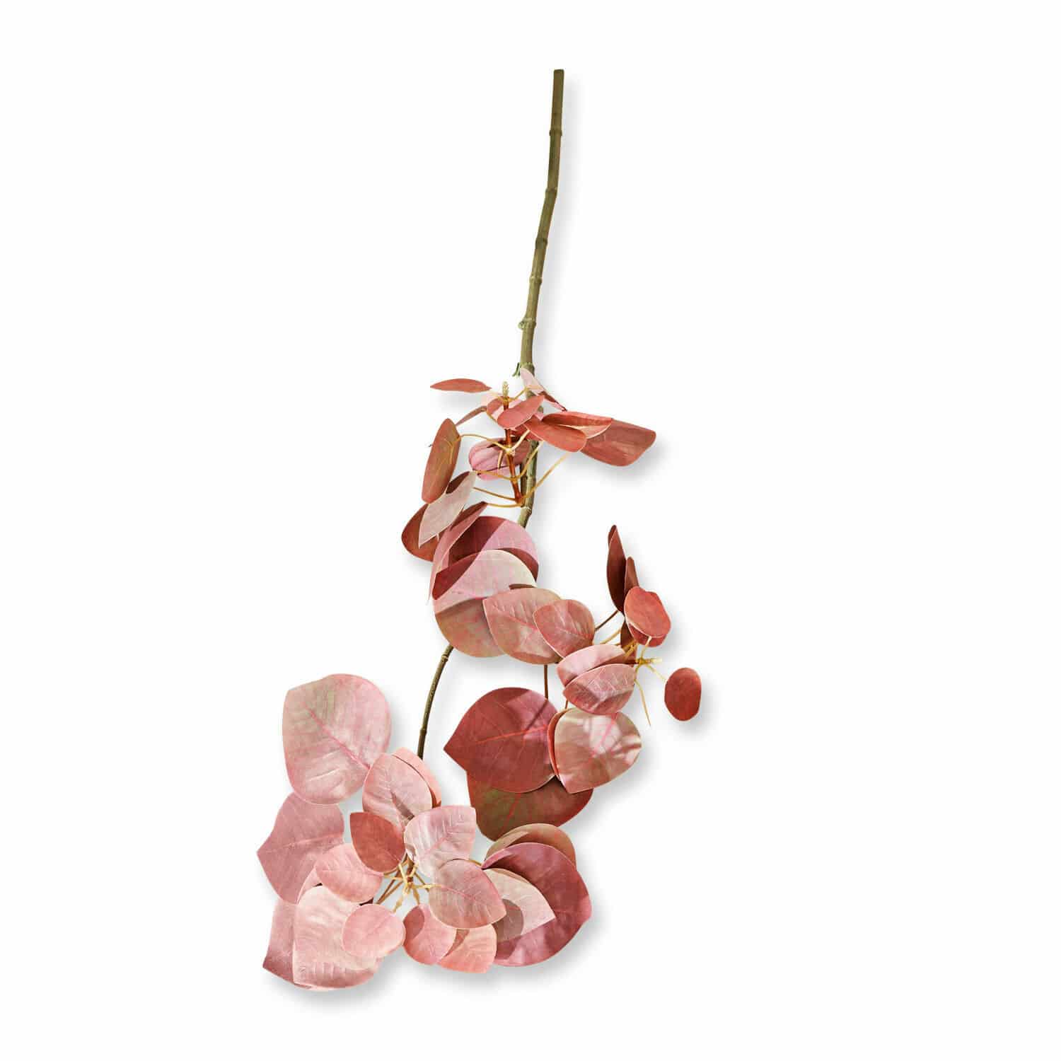 Ramo decorativo Pinon
