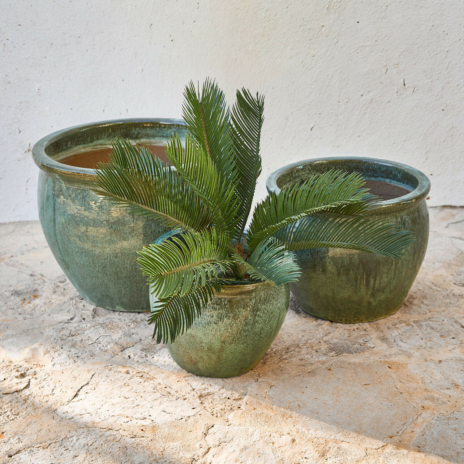 Set di 3 portavasi Mareenah Set di tre vasi da giardino in ceramica verde di diverse dimensioni con pianta decorativa