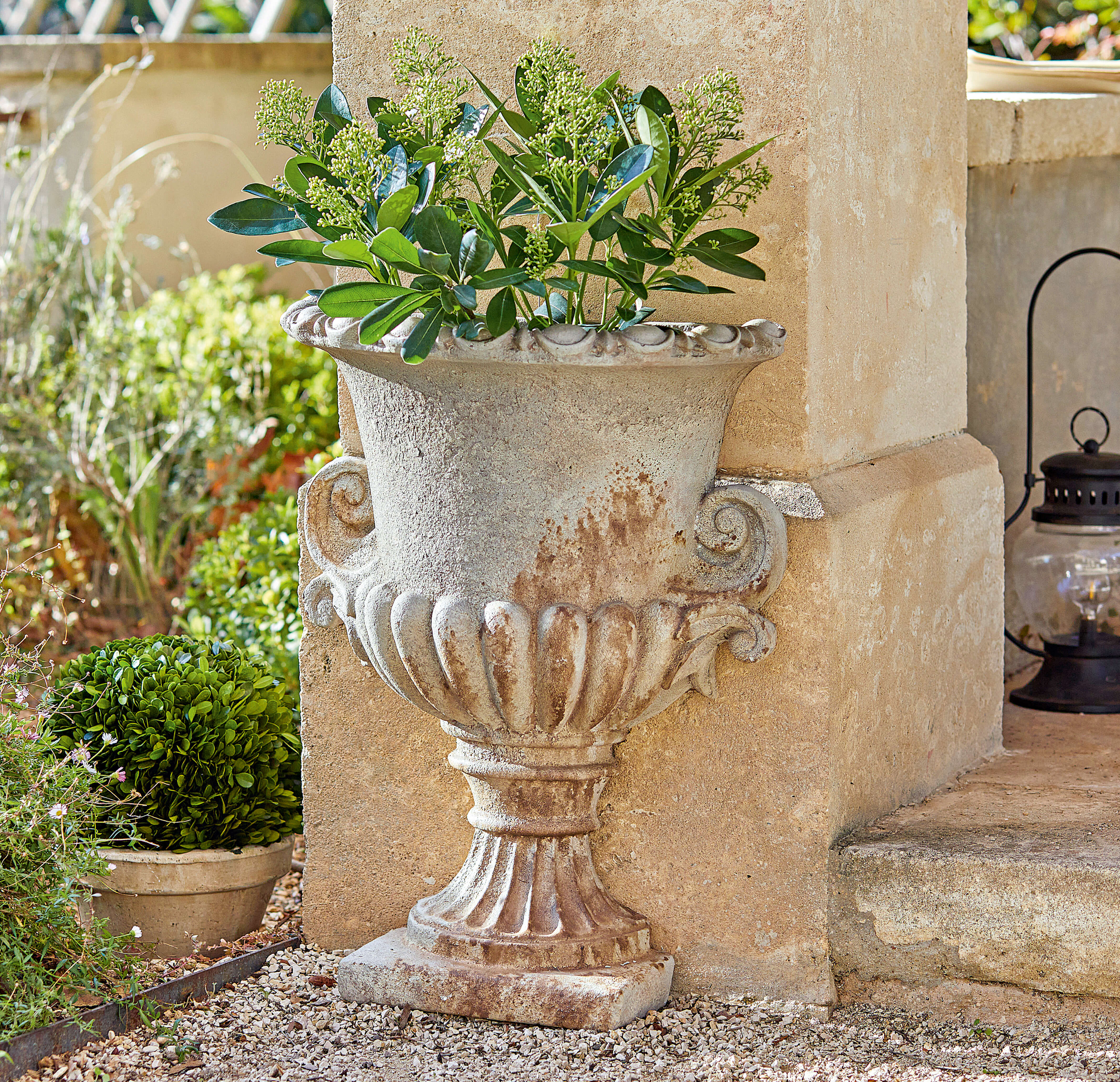 Vaso decorativo in pietra stile antico con piante verdi, ornamento da giardino esterno