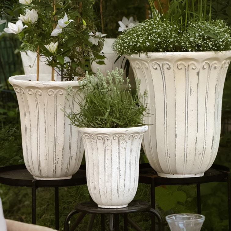 Set di tre vasi bianchi in pietra con motivo decorativo, con piante da giardino