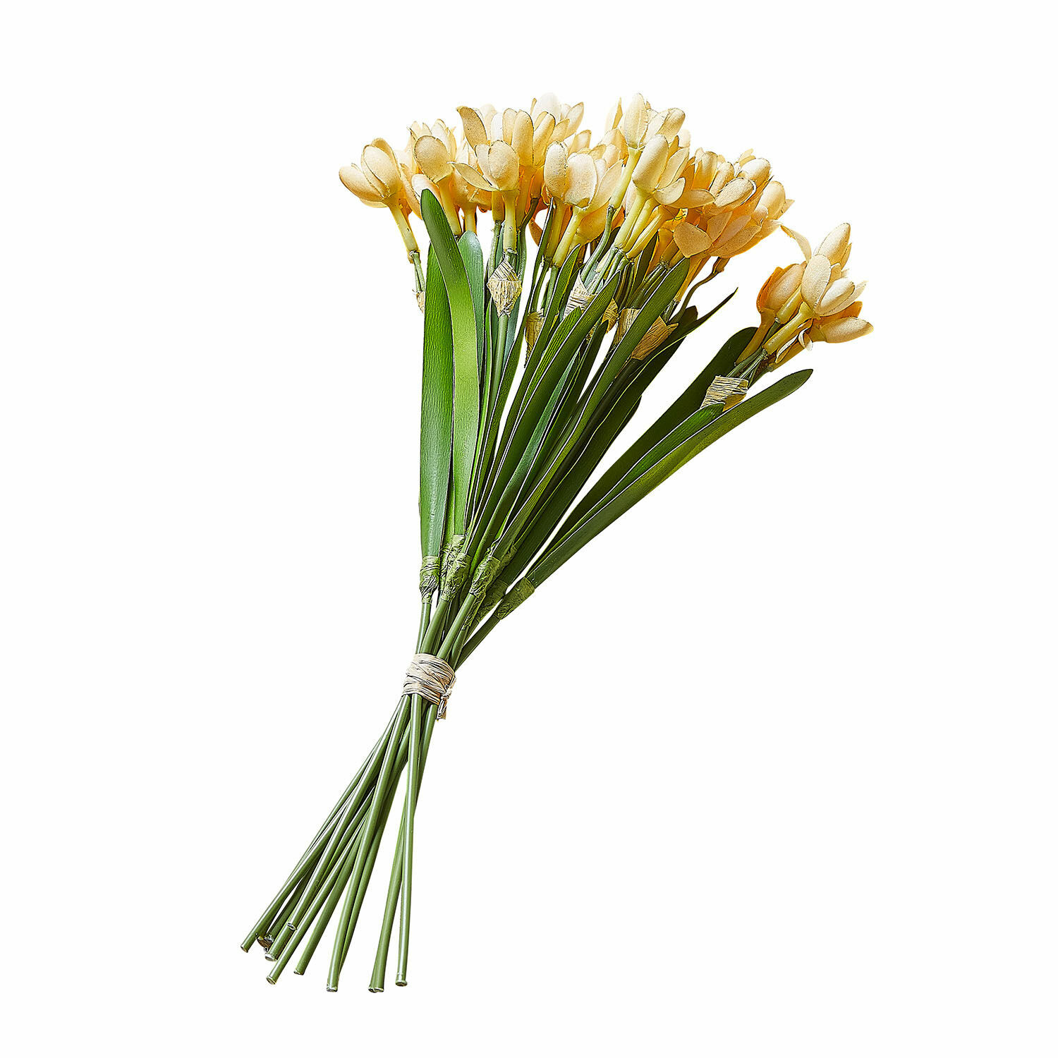 Set di 12 fiori decirativi Ilvera