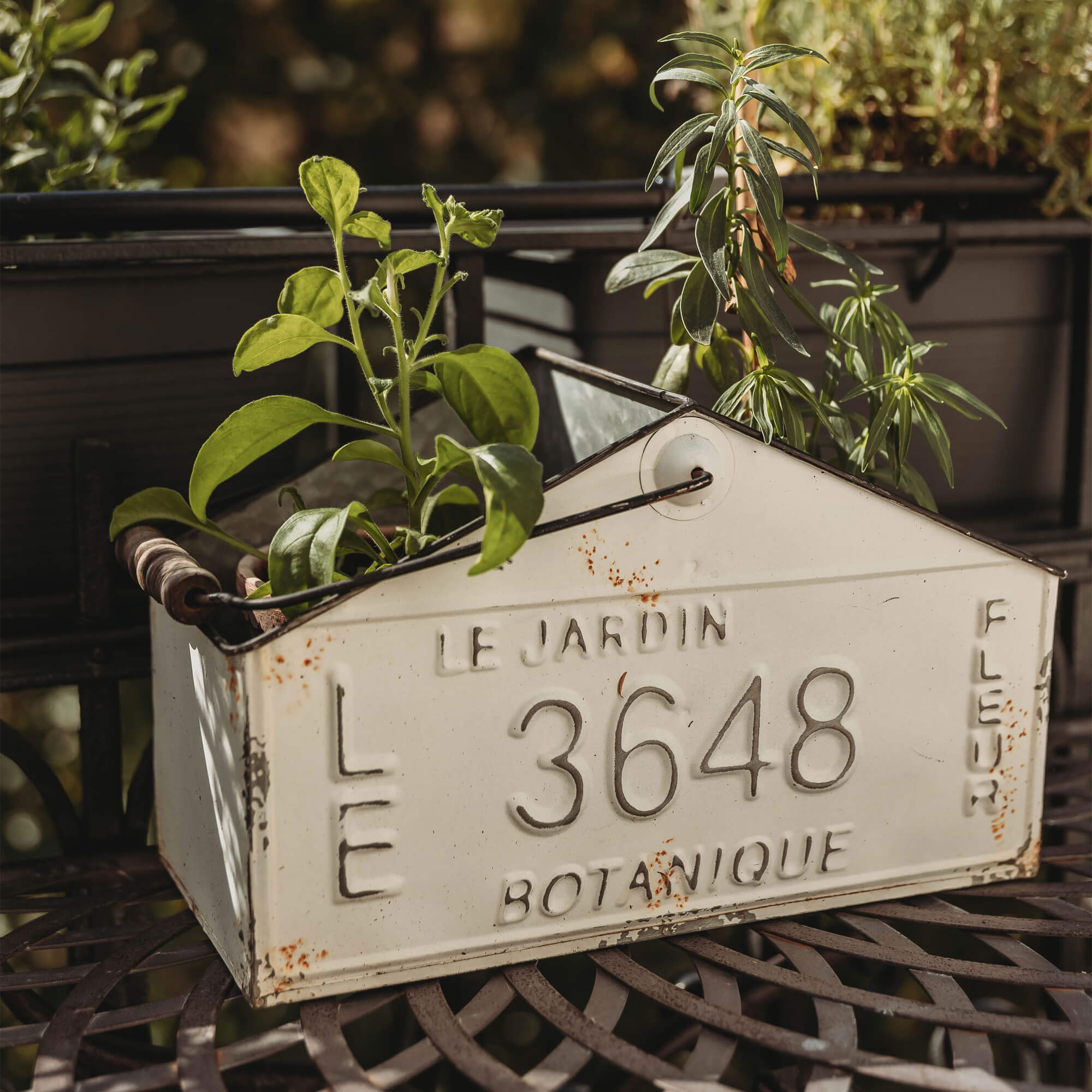 Vaso in metallo bianco a forma di casa con piante, decorazione da giardino in stile vintage