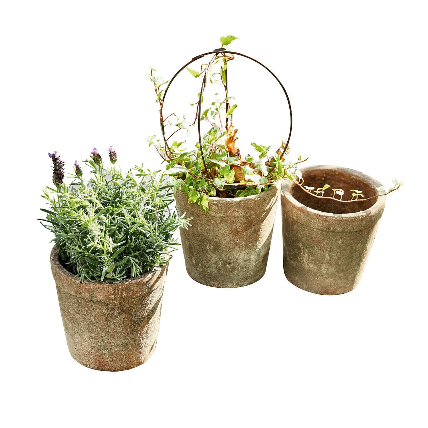 Set di 3 portavasi Care