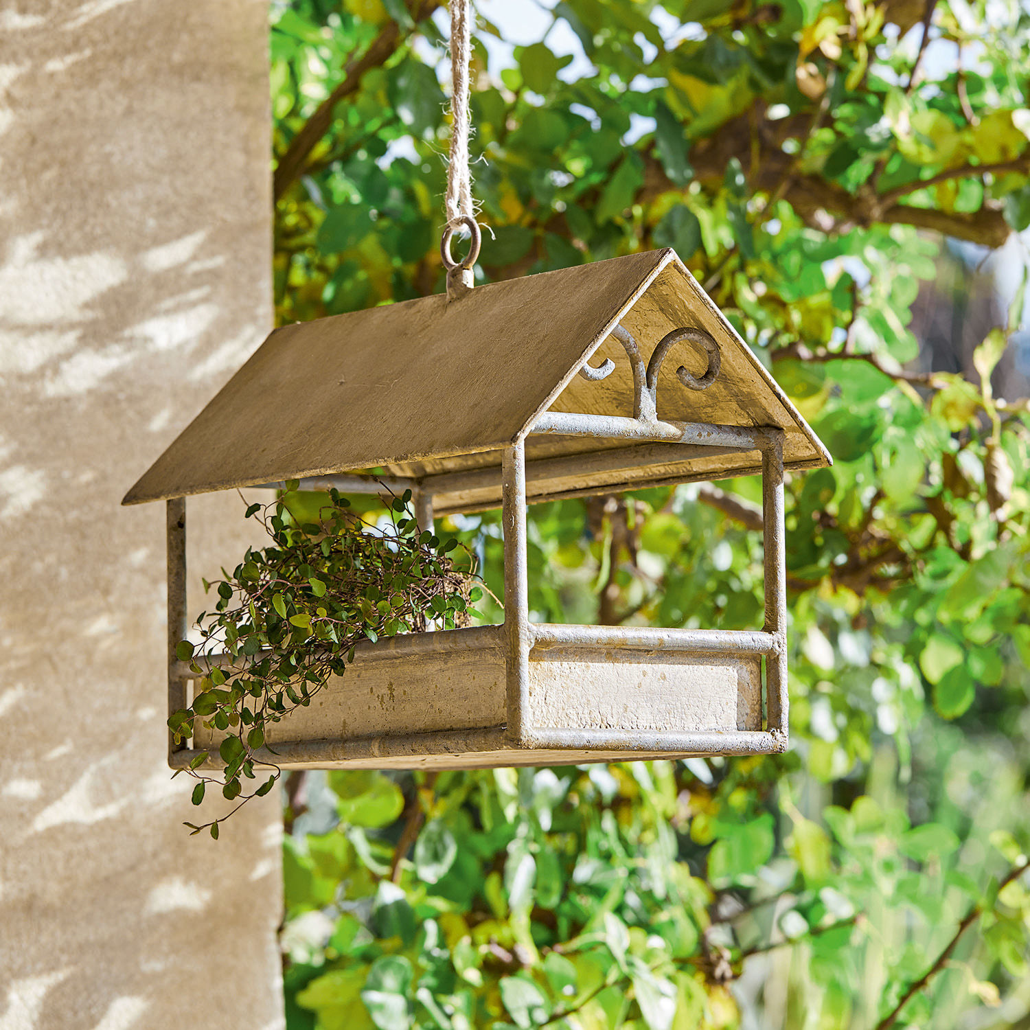 Casetta per uccellini Rantolla Mangiatoia in metallo beige a forma di casetta con pianta, ideale per il giardino
