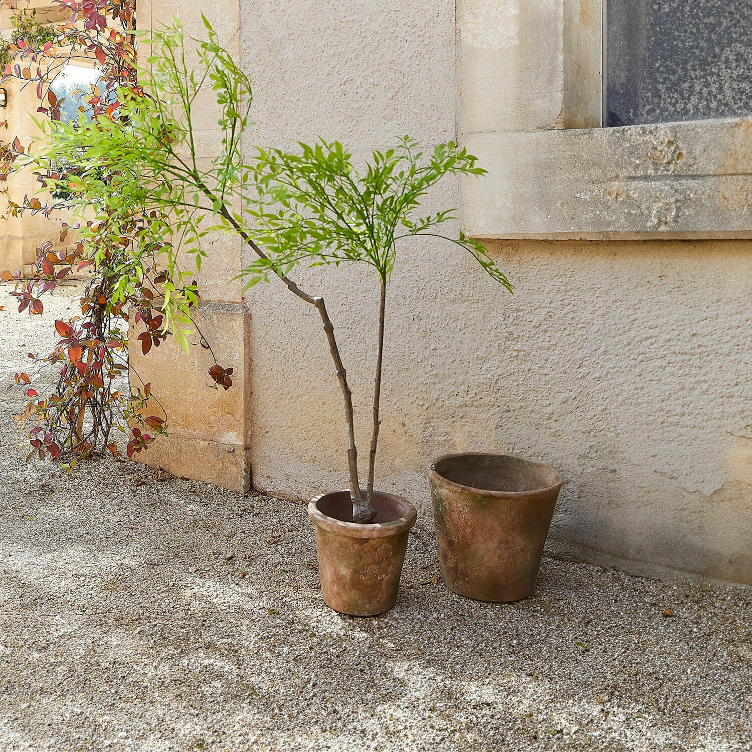 Pianta decorativa in vaso (seconda scelta) Avenelle Due vasi rustici in terracotta marrone su ghiaia all'esterno vicino a muro di casa
