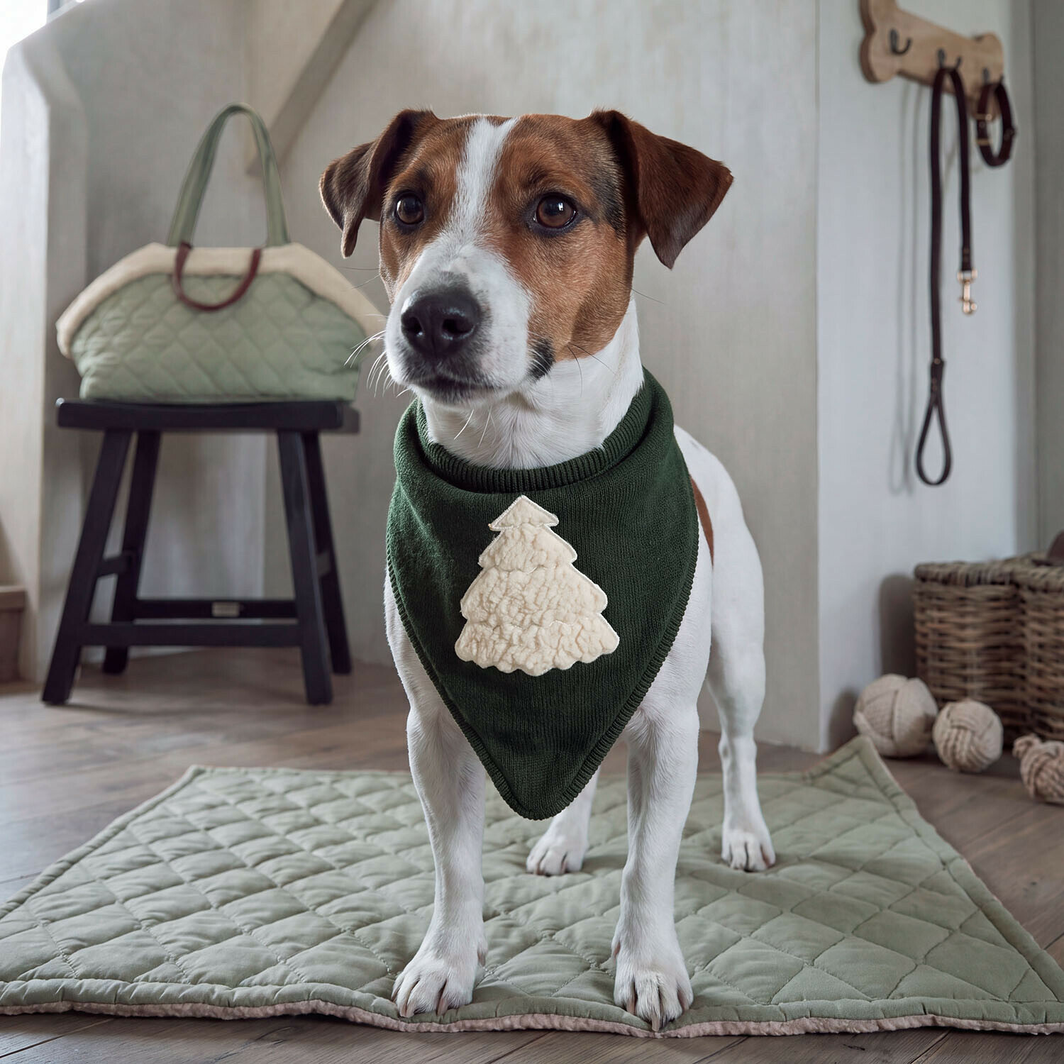 Foulard per cani Jovini