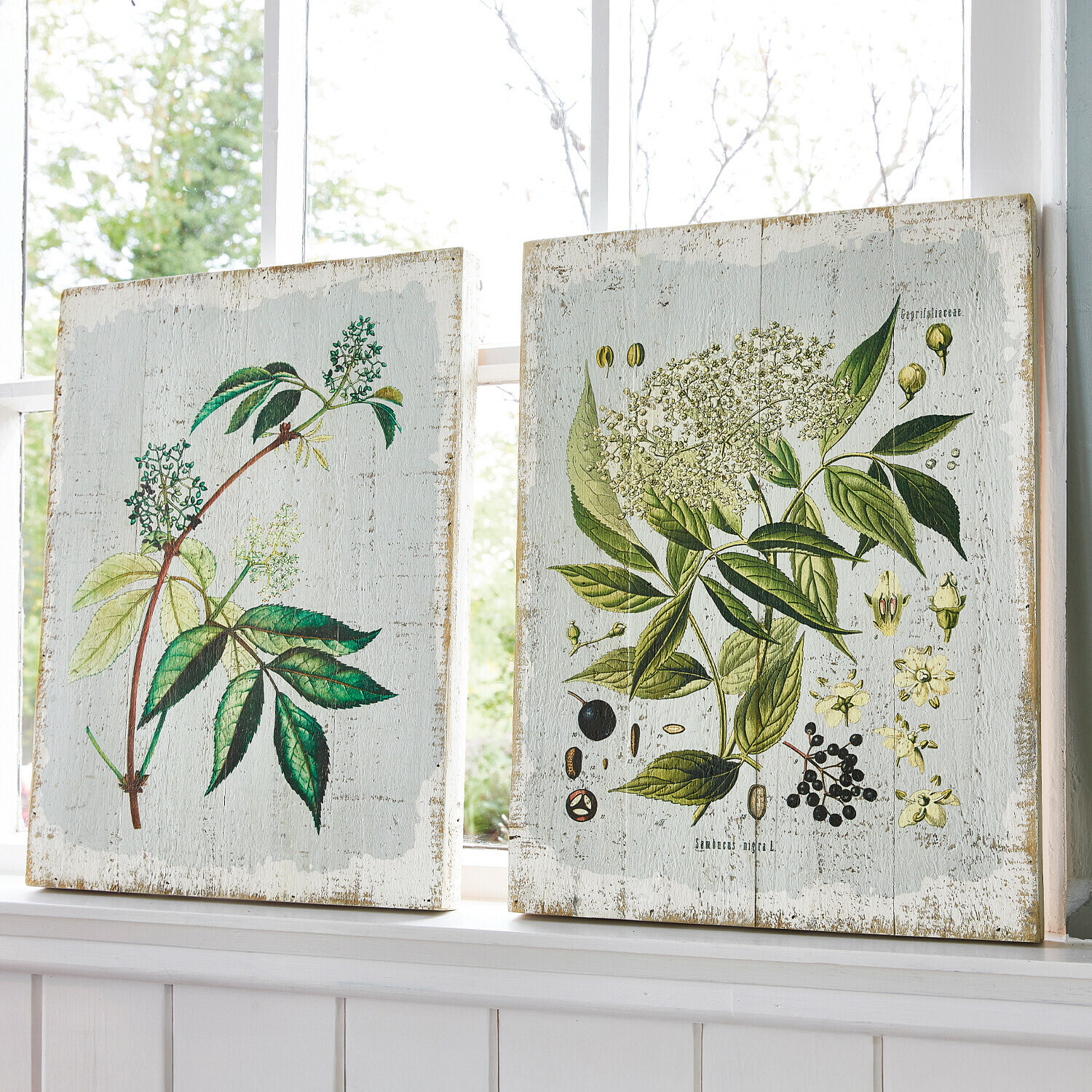 Coppia di quadretti decorativi Loanne