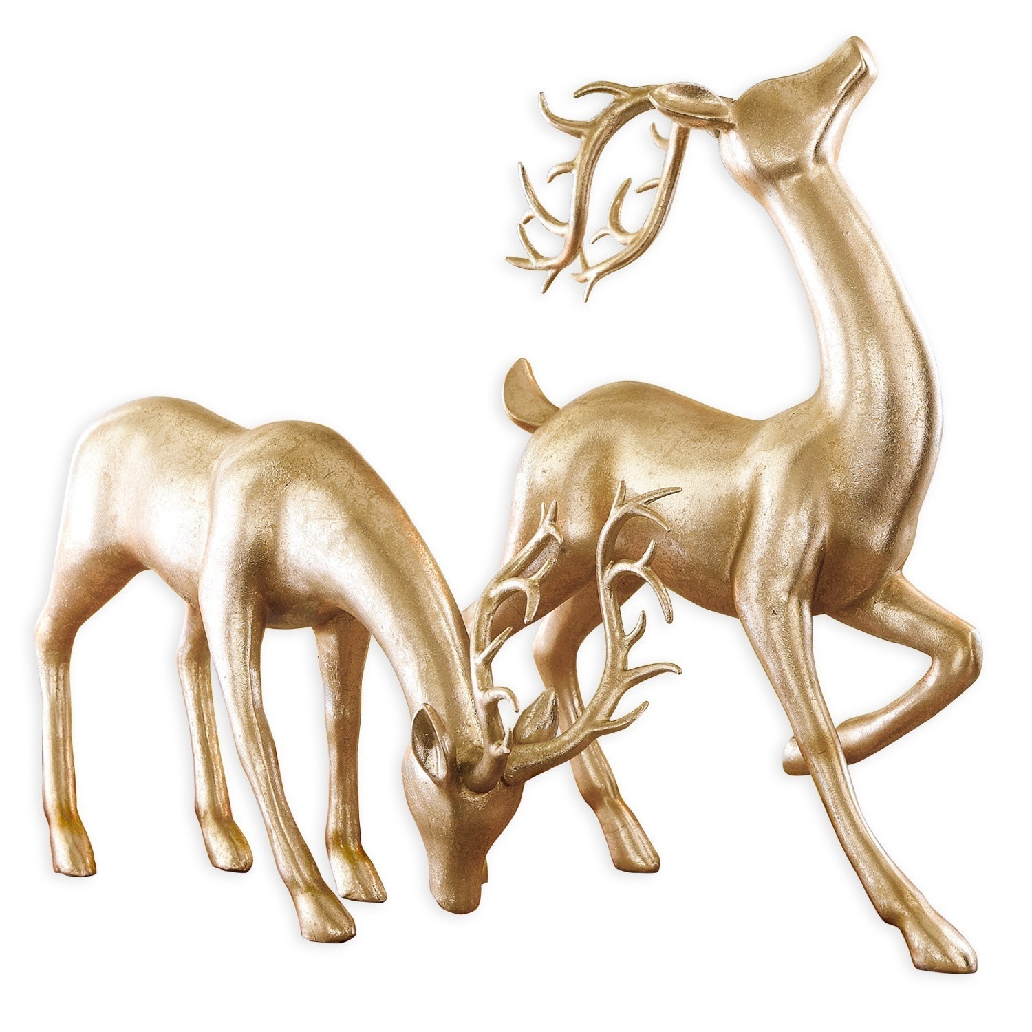 Coppia di cervi Rudy´s