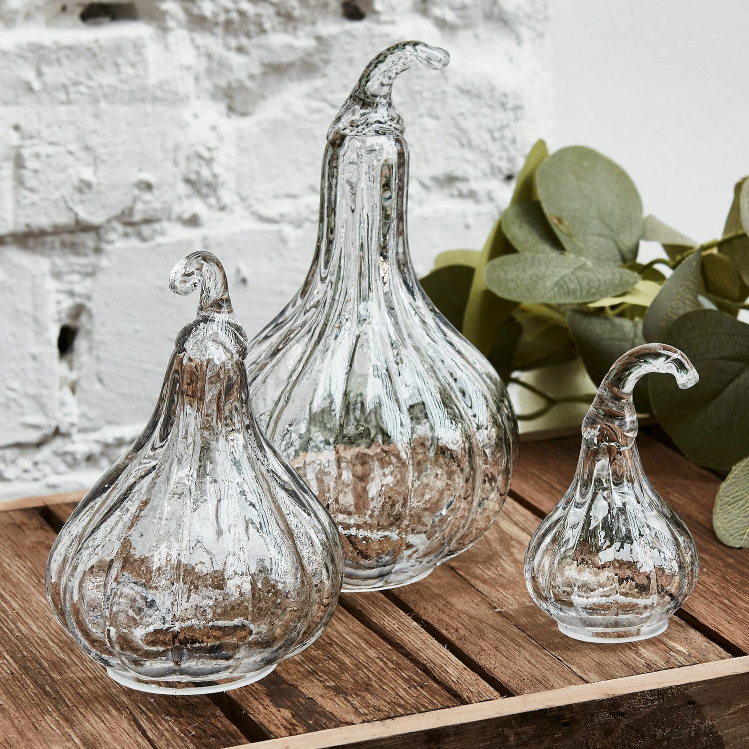 Set di 3 zucche decorative Lacey Set di tre zucche decorative in vetro trasparente su tavolo in legno, decorazione per interni