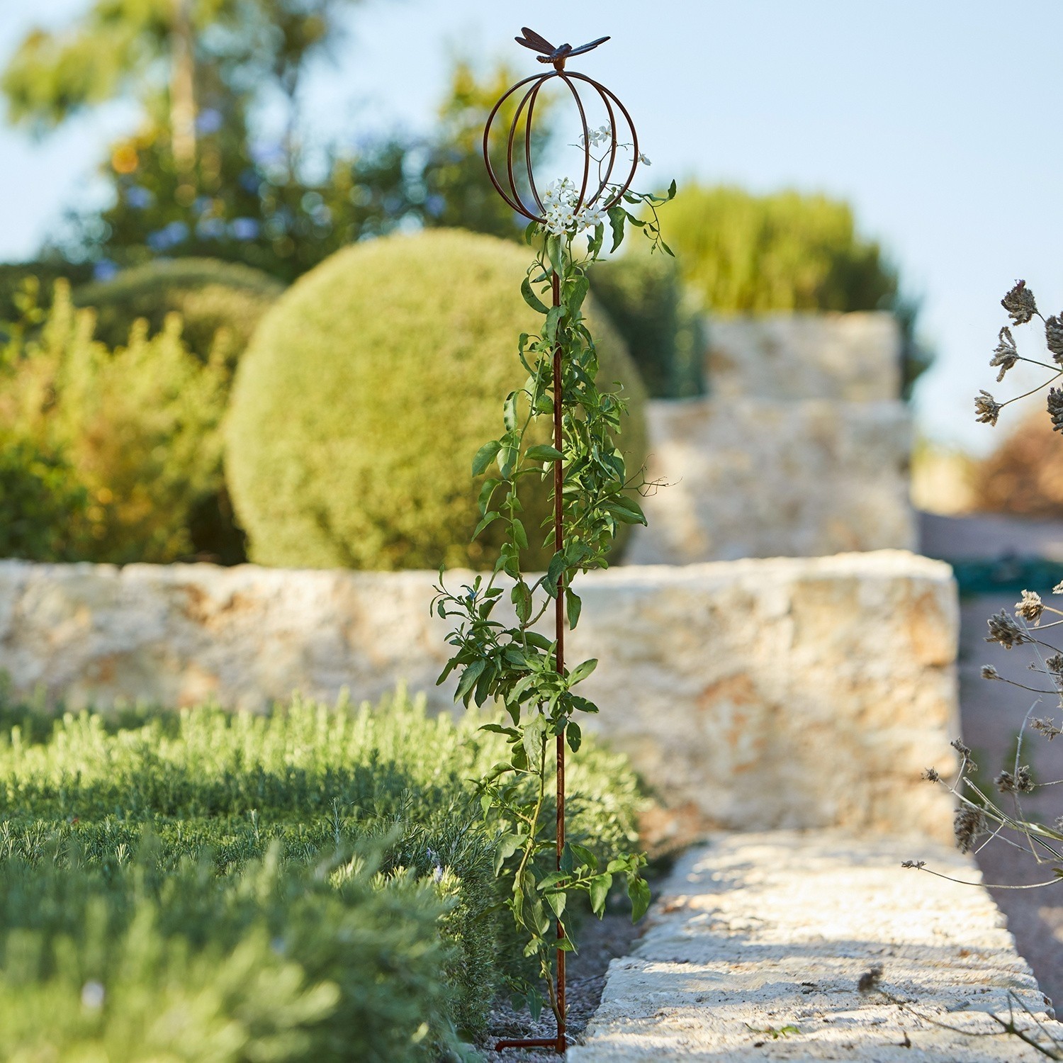 Asta da giardino Libelle Supporto per piante in metallo arrugginito con farfalla, decorazione da giardino per rampicanti