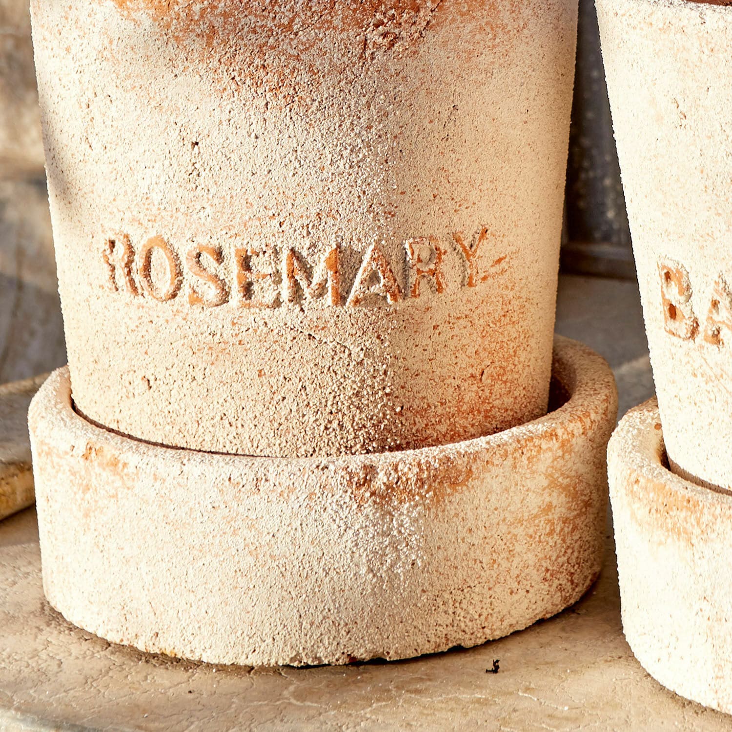 Coppia di portavasi Basil & Rosemary