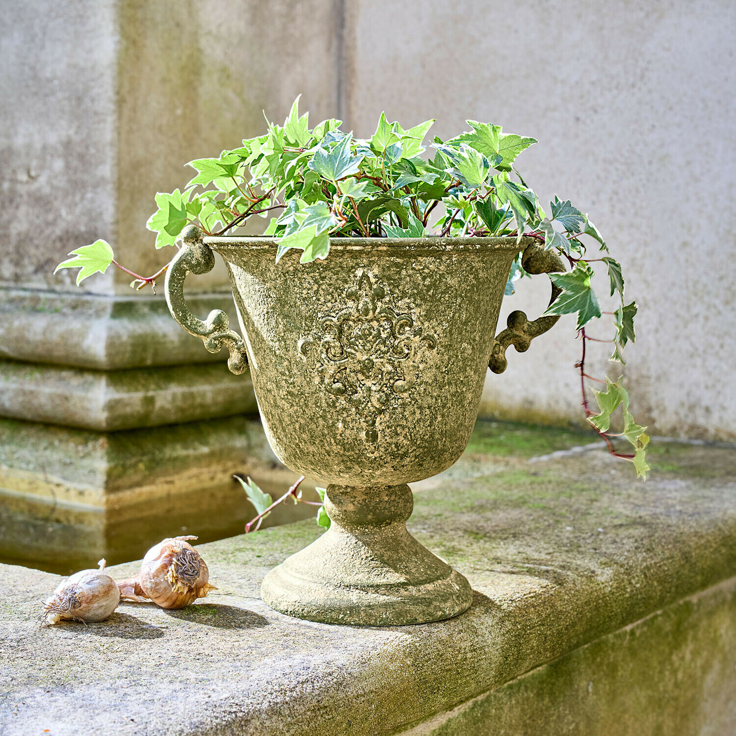 Anfora Ivyridge Vaso decorativo verde invecchiato con pianta di edera su superficie in pietra esterna