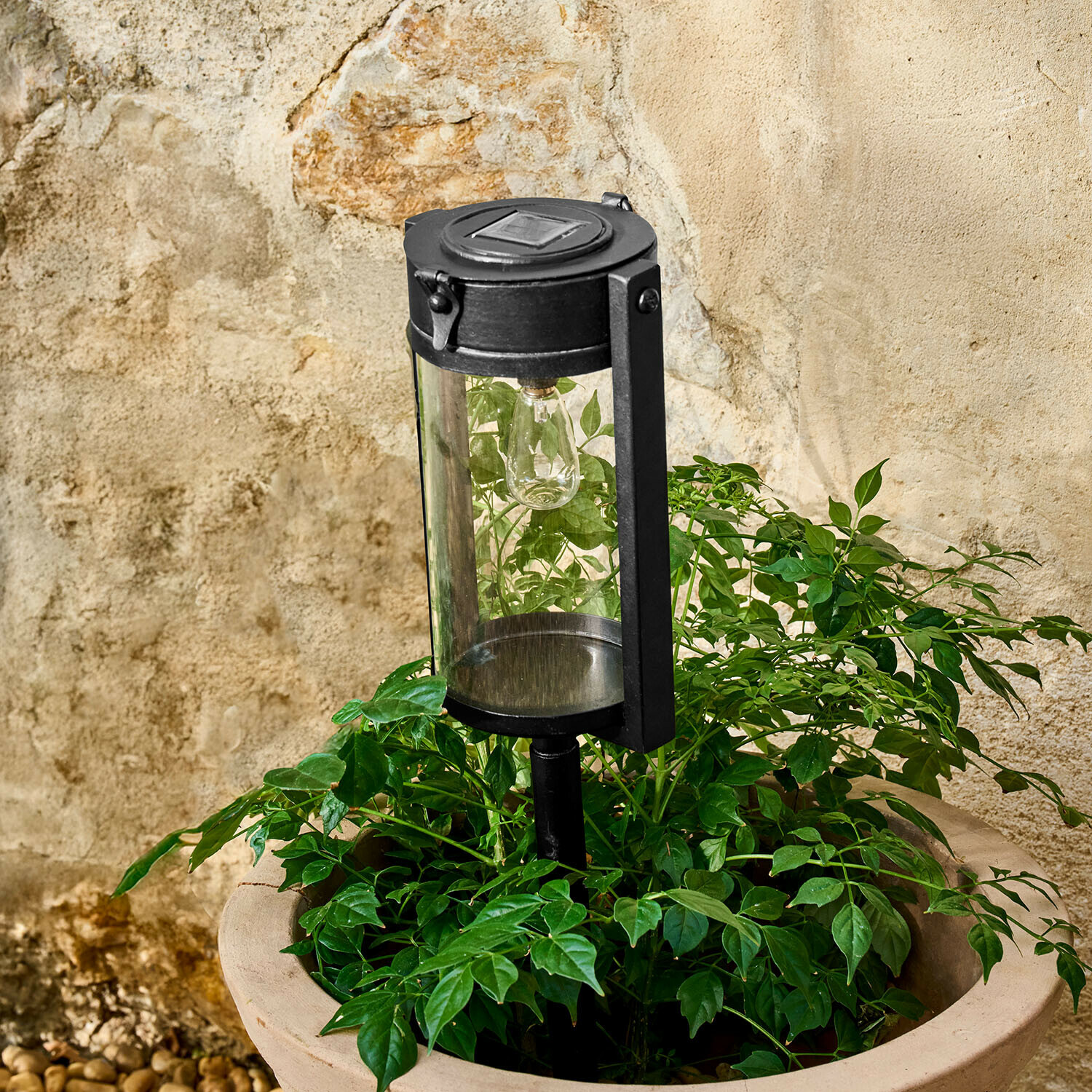 Lanterna solare Lumeriss Lampada da giardino nera in metallo con paralume trasparente tra foglie verdi davanti a muro in pietra