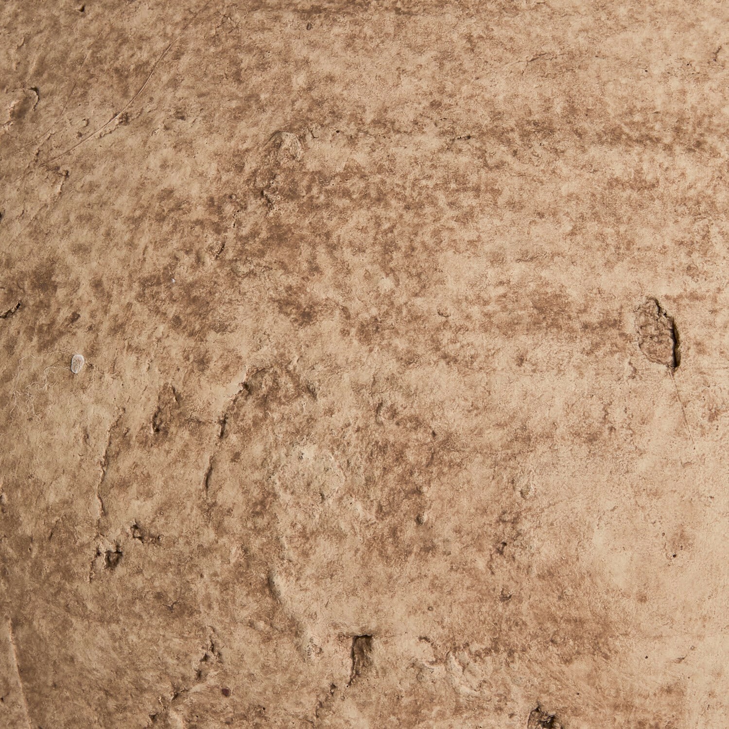 Coppia di vasi decorativi Kelvador