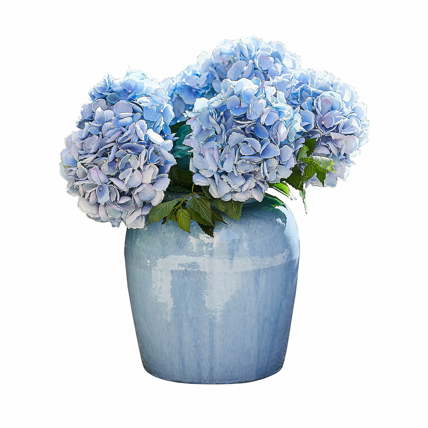 Vaso Uxemir