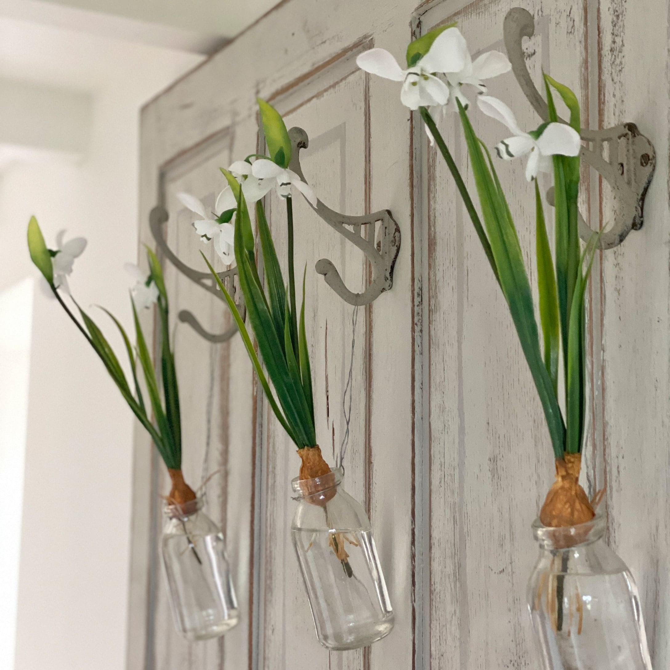 Tre fiori bianchi in bottiglie di vetro appese a ganci metallici su una porta di legno