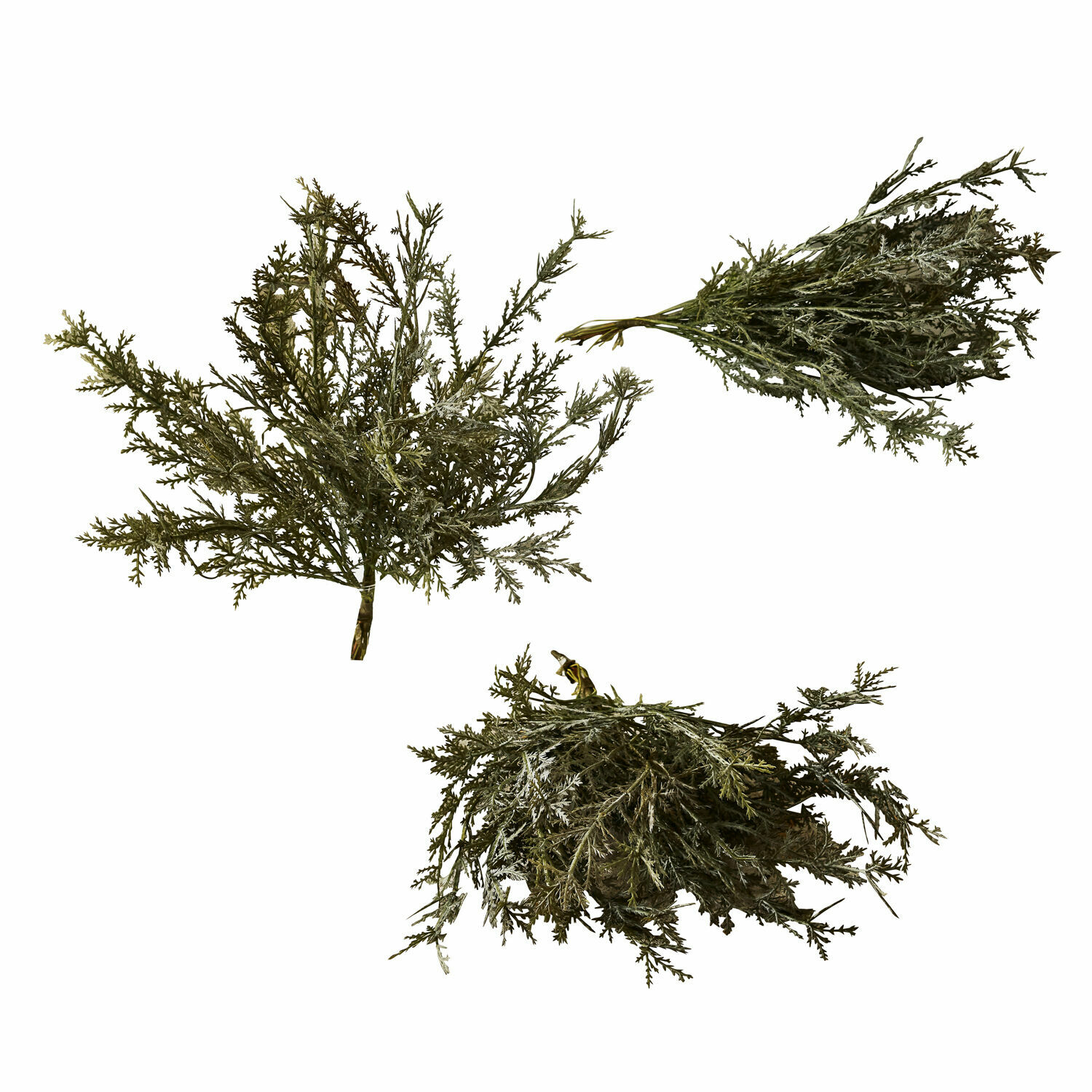Set di 3 piante decorative Emmet