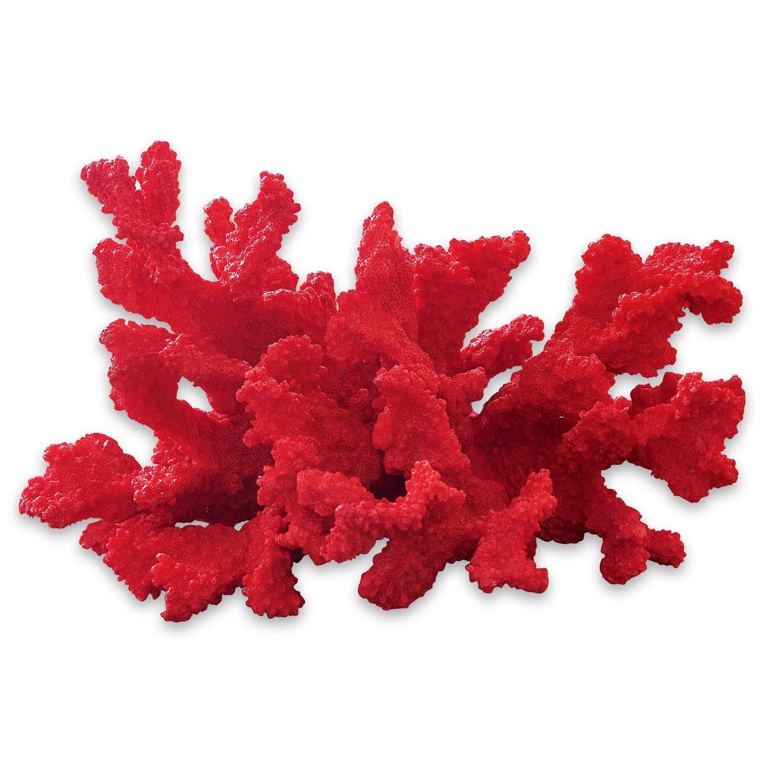Coralli decorativi Reddish