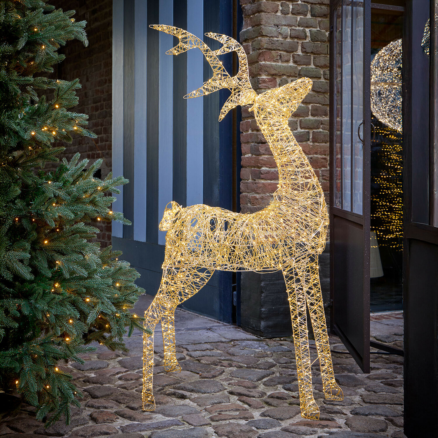 Cervo a LED Elanari