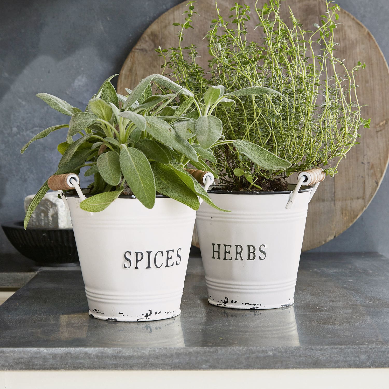 Coppia di portavasi Trevis Vasi in metallo bianchi con scritte Spices e Herbs con erbe verdi su piano cucina