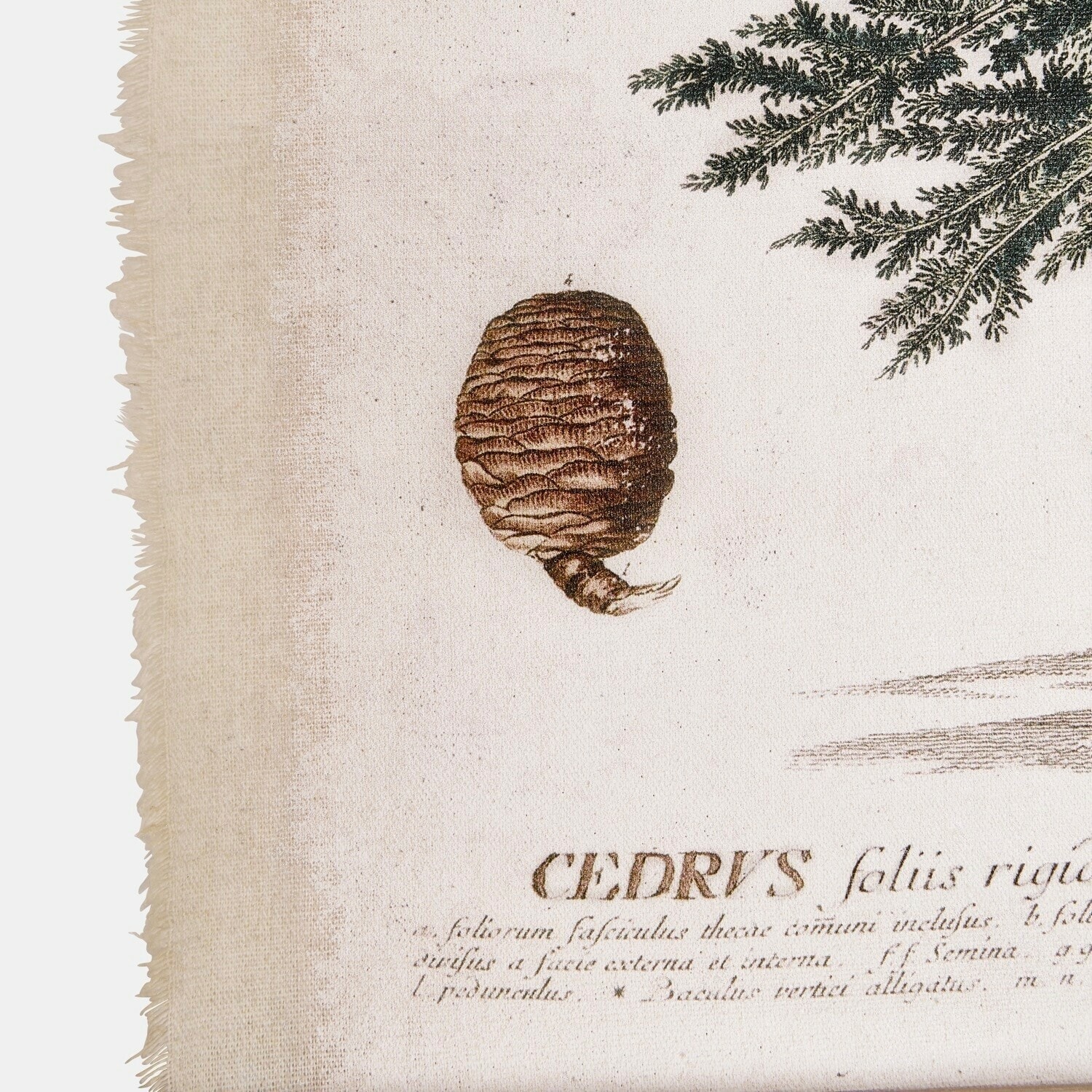 Stampa decorativa Ulmevaine