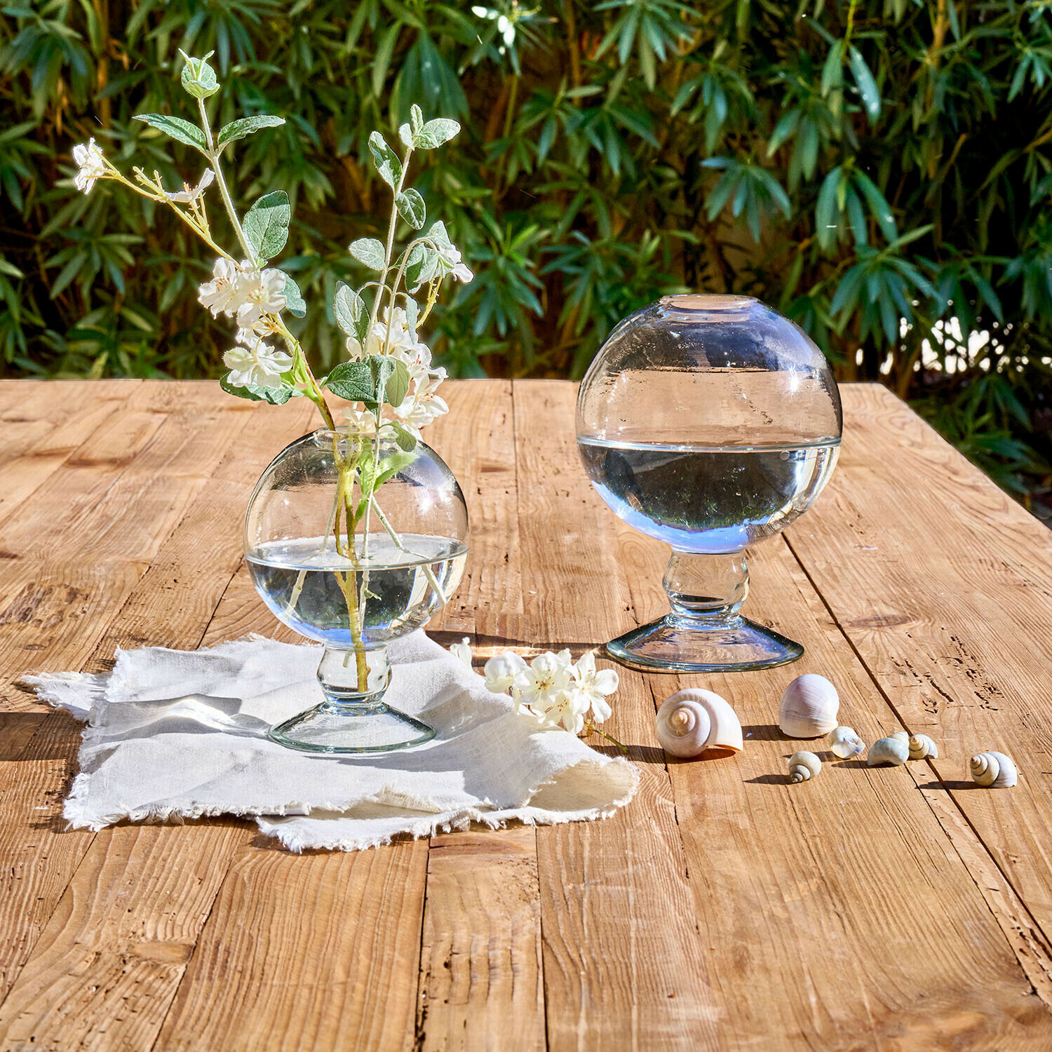 Coppia di vasi Novalio Sfere di vetro trasparente con acqua, una con fiori, su tavolo in legno con conchiglie decorative