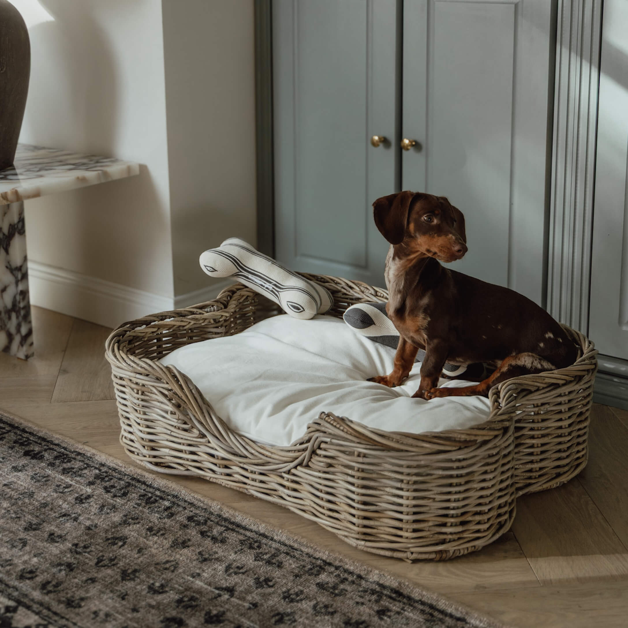 Cuccia, dolce cuccia