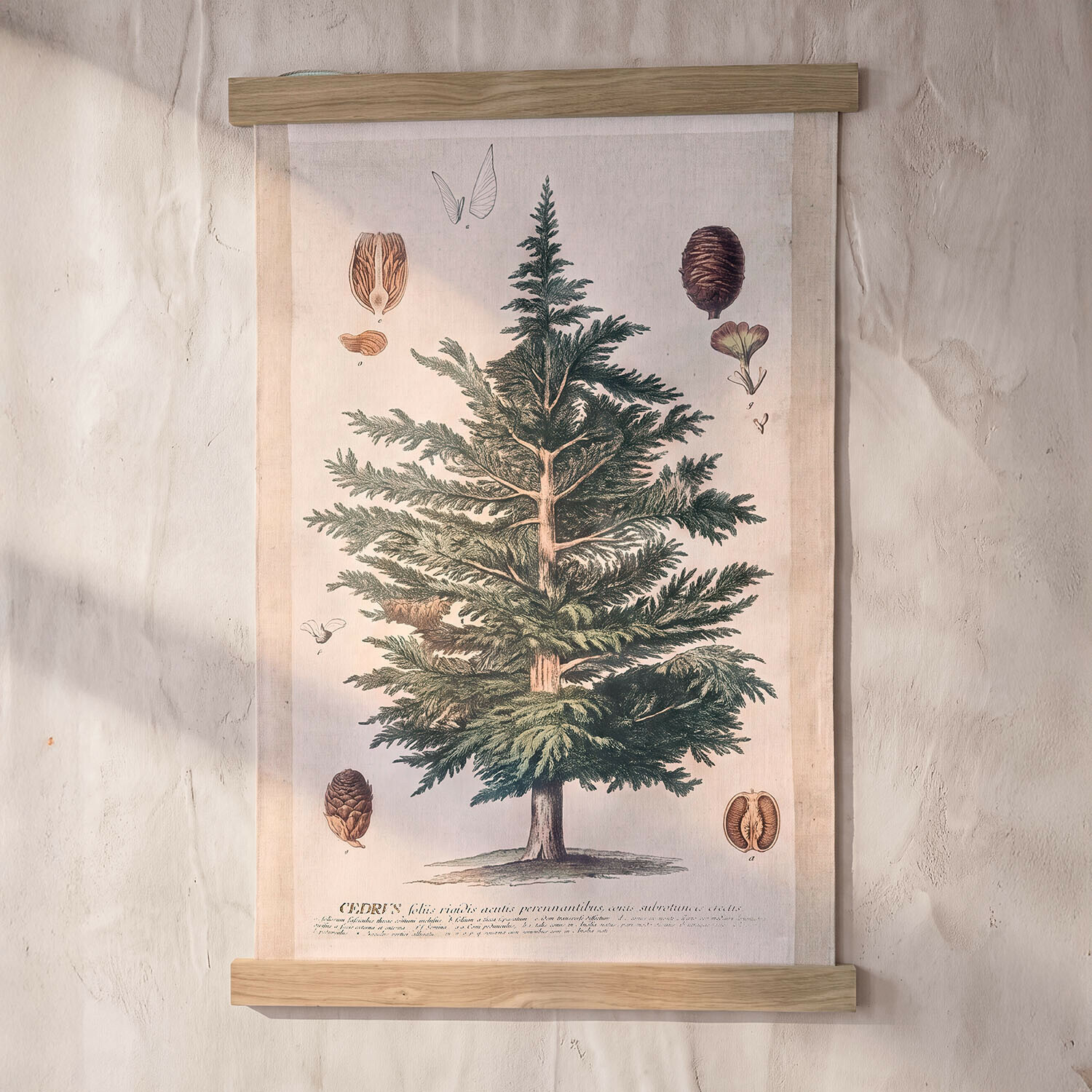 Wandbild Ulmevaine
