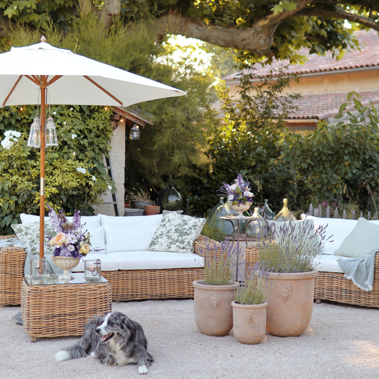Gioco di luci e profumo di lavanda